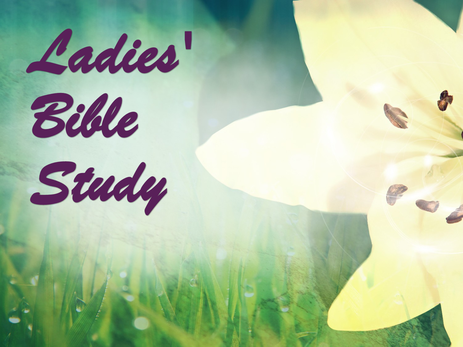 Pure Easter Lilly Worship Background